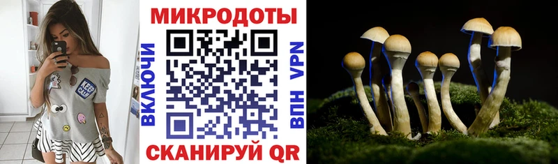 Галлюциногенные грибы прущие грибы Саратов